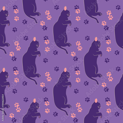 Mystical seamless pattern of cats in boho style, silhouette collection. Esotericism and mysticism, occultism. Cartoon flat vector illustrations, isolated
