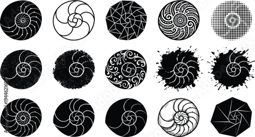 Collection of nautilus shell spiral icon designs featuring geometric, tribal, halftone, grunge and ornamental styles in circular vector illustration set isolated