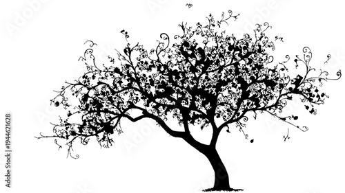tree silhouette vector vector, branch, nature, tree, spring