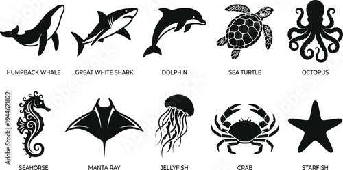 Marine life silhouette collection featuring whale, shark, dolphin, sea turtle, octopus, seahorse, manta ray, jellyfish, crab and starfish vector wildlife icons