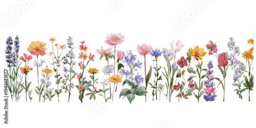 A vibrant collection of delicate wildflowers and delicate greenery in a loose watercolor style