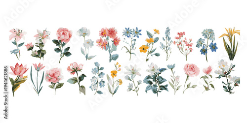 A vibrant collection of delicate wildflowers and delicate greenery in a loose watercolor style