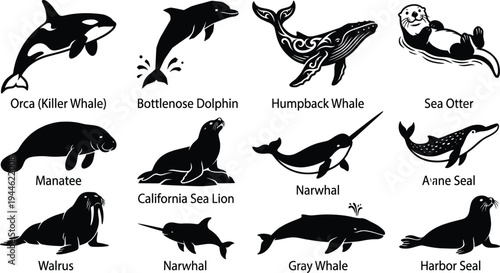 Marine mammal silhouette collection featuring orca, dolphin, humpback whale, sea otter, manatee, walrus, narwhal and seals in clean vector wildlife illustration set