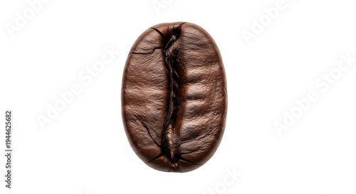 Slika na platnu Roasted coffee bean isolated PNG on transparent background, aromatic ingredient