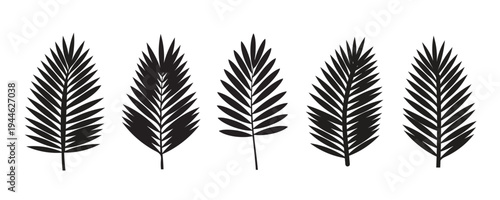 Tropical palm leaf silhouette set. Botanical fern frond and exotic jungle foliage symbols. Vector summer plant elements.