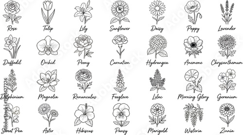 Detailed vector illustration of various flowers with their names labeled