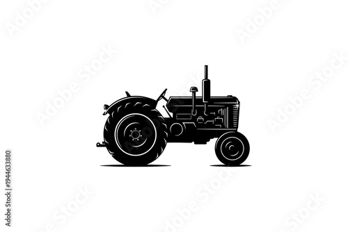 Hand drawn mango collection with vintage sketch style for tropical fruit design