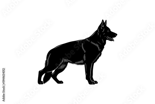 Vintage camping emblem featuring lantern, pine trees, and campfire scene