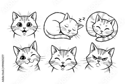 Adventure awaits camping badge with tent and trees under moonlit sky