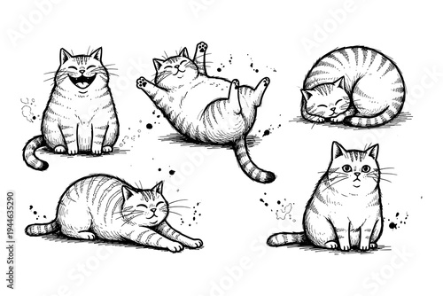 Adventure awaits badge with camper van and mountain landscape