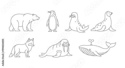 vect (9) illustration of polar bear, penguin, seal, and other Arctic animals in a line drawing style