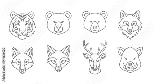 vect (12) illustration of various wild animal heads in outline style on white background