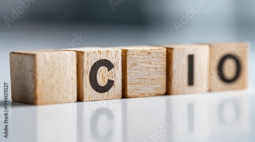 Cio word blocks wooden letters chief information officer concept