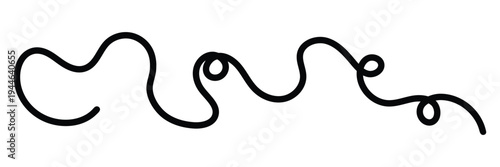 Squiggle Curly Line. Decorative Design Element. Vector  illustration.