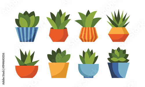 Set of 8 colorful succulent plants vector icons
