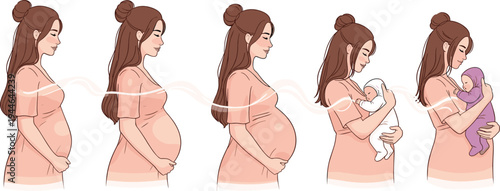 Pregnancy and Baby Birth Stages Illustration, From Pregnancy to Birth and Infant Care, Motherhood Concept