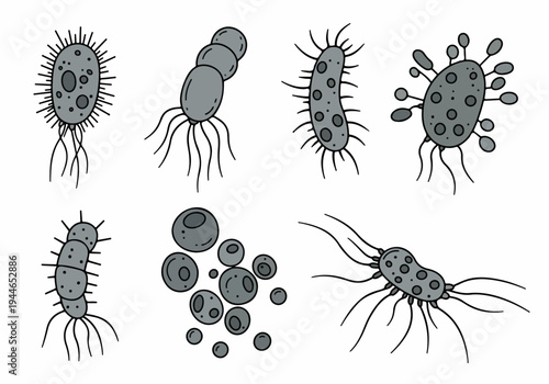 Doodle style collection of various gray bacteria and microorganisms, including bacilli, cocci, and cells with flagella, isolated on white background.