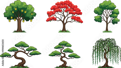 Collection of Vector Trees Including Pear Tree Red Flowering Tree Bonsai Styles and Weeping Willow Isolated on White Background Illustration