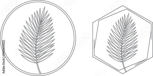 Elegant black and white continuous line drawing of a tropical palm leaf inside a simple circular frame and a modern geometric hexagonal shape perfect for minimalist design projects.