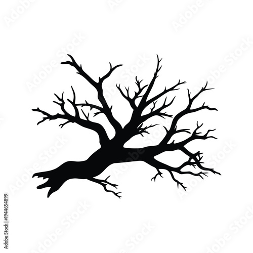 dead oak branch silhouette vector illustration, Silhouette of a bare tree with intricate branches, vector illustration design