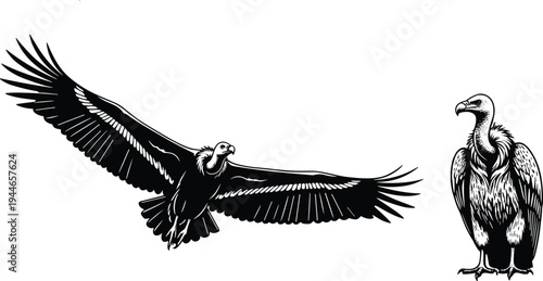 Set of active people silhouettes performing handstands, breakdancing, stretching, and celebrating, athletic movement vector, fitness lifestyle, urban dance, parkour, gymnastic.