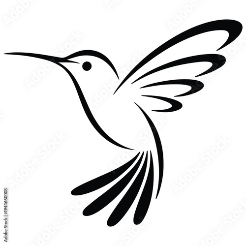 Graceful silhouette of a hummingbird in mid-flight with outstretched wings and long tail feathers