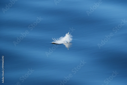 White feather floating on blue water surface, close-up with shallow depth of field and soft reflections