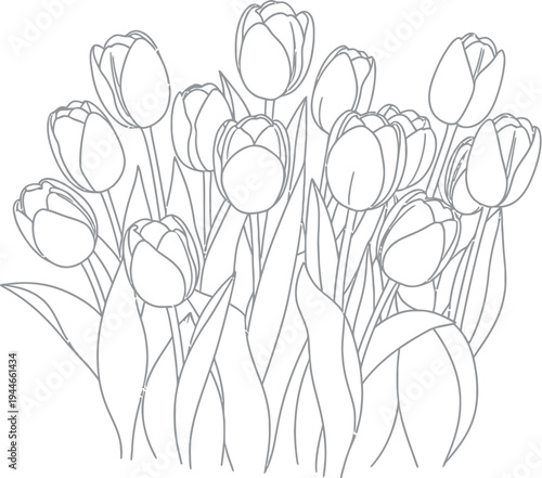 Beautiful black and white line art drawing depicting a dense cluster of blooming tulips with long stems and leaves ready for coloring pages