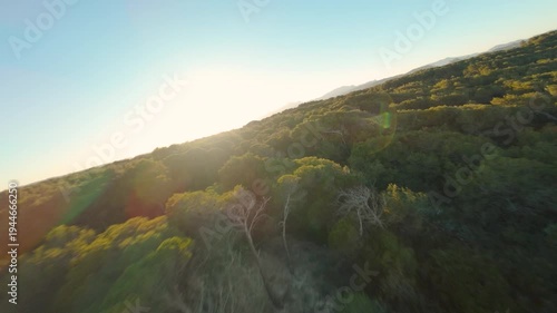 Playa de Muro, Mallorca, Majorca, Balearic Islands, Spain