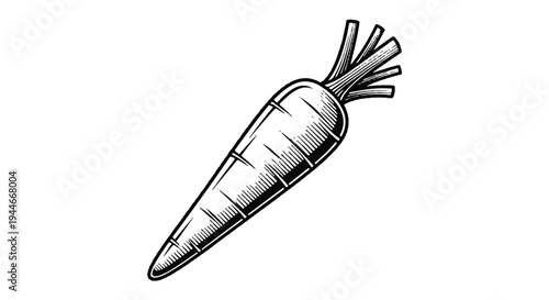 Isolated vector illustration of a fresh carrot