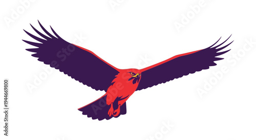 Red and purple hawk bird in flight, isolated on white background
