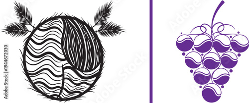 A black-line etched coconut with palm leaves alongside a bunch of purple grapes featuring circular swirl patterns, separated by a vertical purple line on a white background.