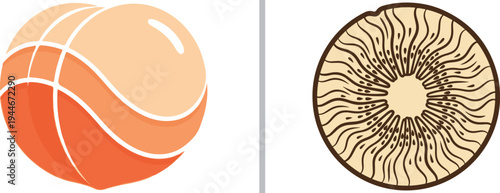 Stylized vector set featuring a blue blueberry cluster with green leaves and a sliced green kiwi with a detailed seed pattern, separated by a vertical grey line on a white background.