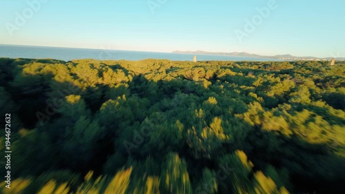 Playa de Muro, Mallorca, Majorca, Balearic Islands, Spain