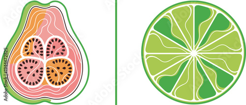 A stylized pink guava half with intricate orange line patterns and black seeds alongside a vibrant green lime slice featuring wavy internal segments and a clean circular rind.