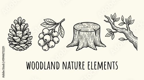 Line drawings of pine cone, berries, stump, and branch, symbolizing woodland nature elements.