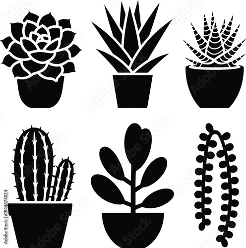 Six black and white potted plant including succulents and cacti potted plants plant minimalist