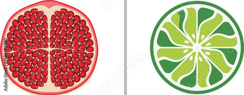 Vector illustrations showcasing a cross-section of a ruby-red pomegranate filled with seeds and a vibrant green lime slice, separated by a vertical grey line on a white background.