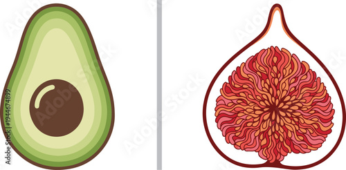 A smooth, layered green avocado half with a dark brown pit alongside a detailed purple fig cross-section featuring an intricate, textured pink and orange interior.