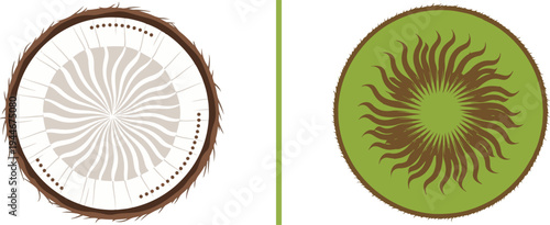 Stylized circular cross-sections of a hairy brown coconut with a sunburst center and a vibrant green kiwi with radiating seeds, presented as modern flat vector icons.