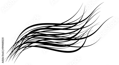 Black lines in motion abstract.