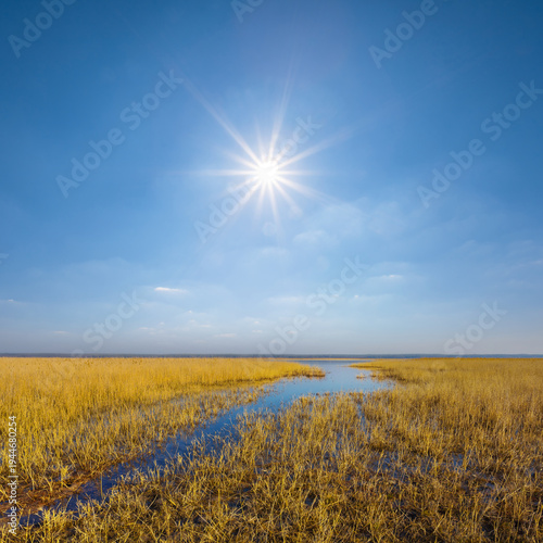 flooded grass prairie under a sparkle sun, spring natural landscape