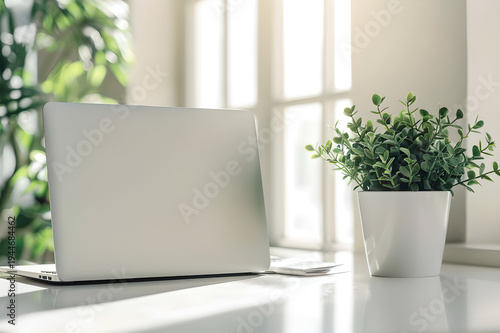 Minimal Workspace Desk with Blank Space for Text and Indoor Plant
