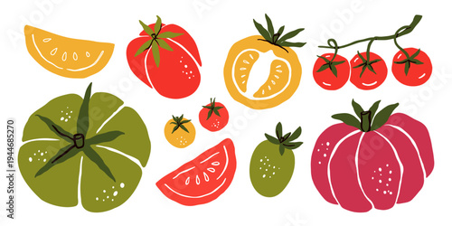Tomato Illustration Collection Whole And Sliced Cherry Heirloom Grape Plum Tomatoes Hand Drawn Fresh Garden Vegetable Set