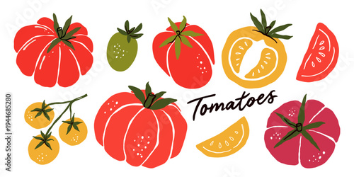 Tomato Illustration Set Whole And Sliced Cherry Heirloom Grape Plum Tomatoes Hand Drawn Fresh Garden Vegetable Collection