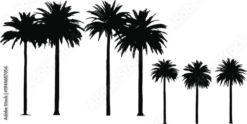Set of tropical palm tree silhouettes isolated on white background summer beach landscape botanical vector illustration collection for nature design