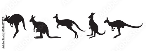 Kangaroo silhouette vector collection 