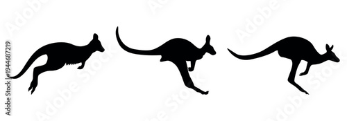 Australian kangaroo silhouettes set with female carrying joey in pouch and male in jumping motion for outback design art. silhouette of a deer