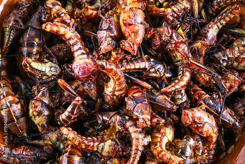 Obraz na plátně Exotic Mexican food, Dried grasshoppers