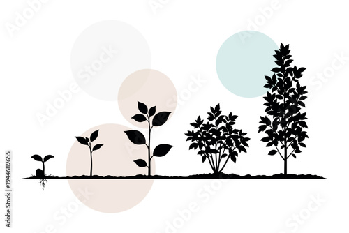 Vector set of diverse vegetation types including shrubs and tall saplings. Comprehensive growth progression symbols for landscaping and forestry concepts vector illustration design.